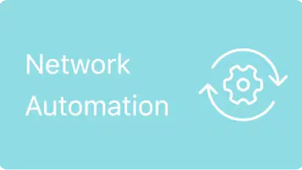 Network Automation