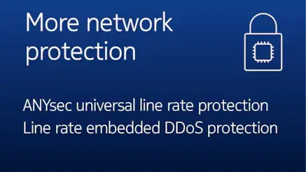 More network protection: ANYsec universal line rate protection and line rate embedded DDoS protection