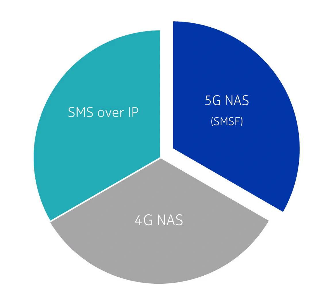 SMS delivery over IP, 4G NAS and 5G NAS with SMSF
